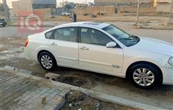 رينو سافران